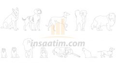 Autocad Kedi ve Köpek Çizimleri (dwg)